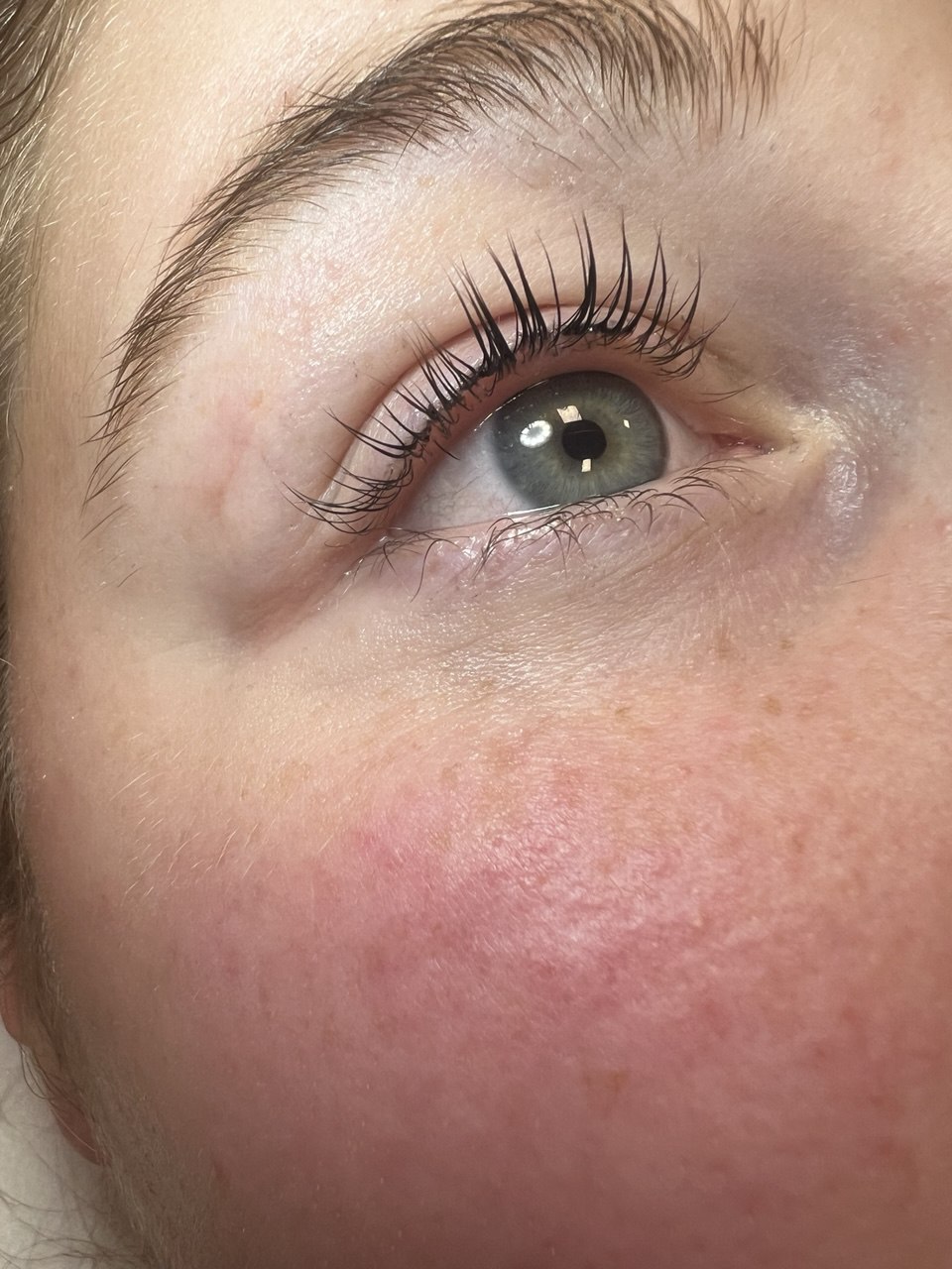 Lash